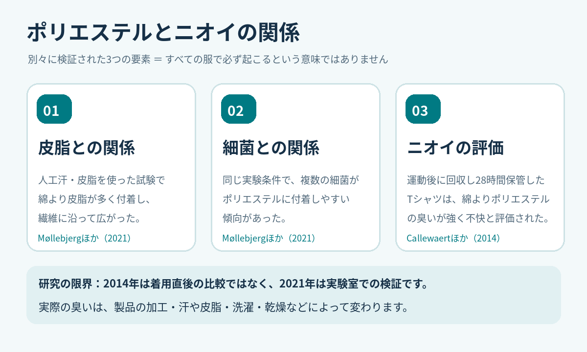 ポリエステルと皮脂、細菌、臭い評価に関する3つの研究知見を並列で整理した図解
